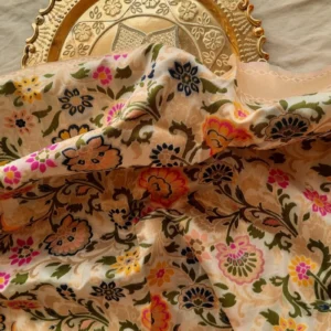 Banarasi Silk Multi-Coloured Dupatta